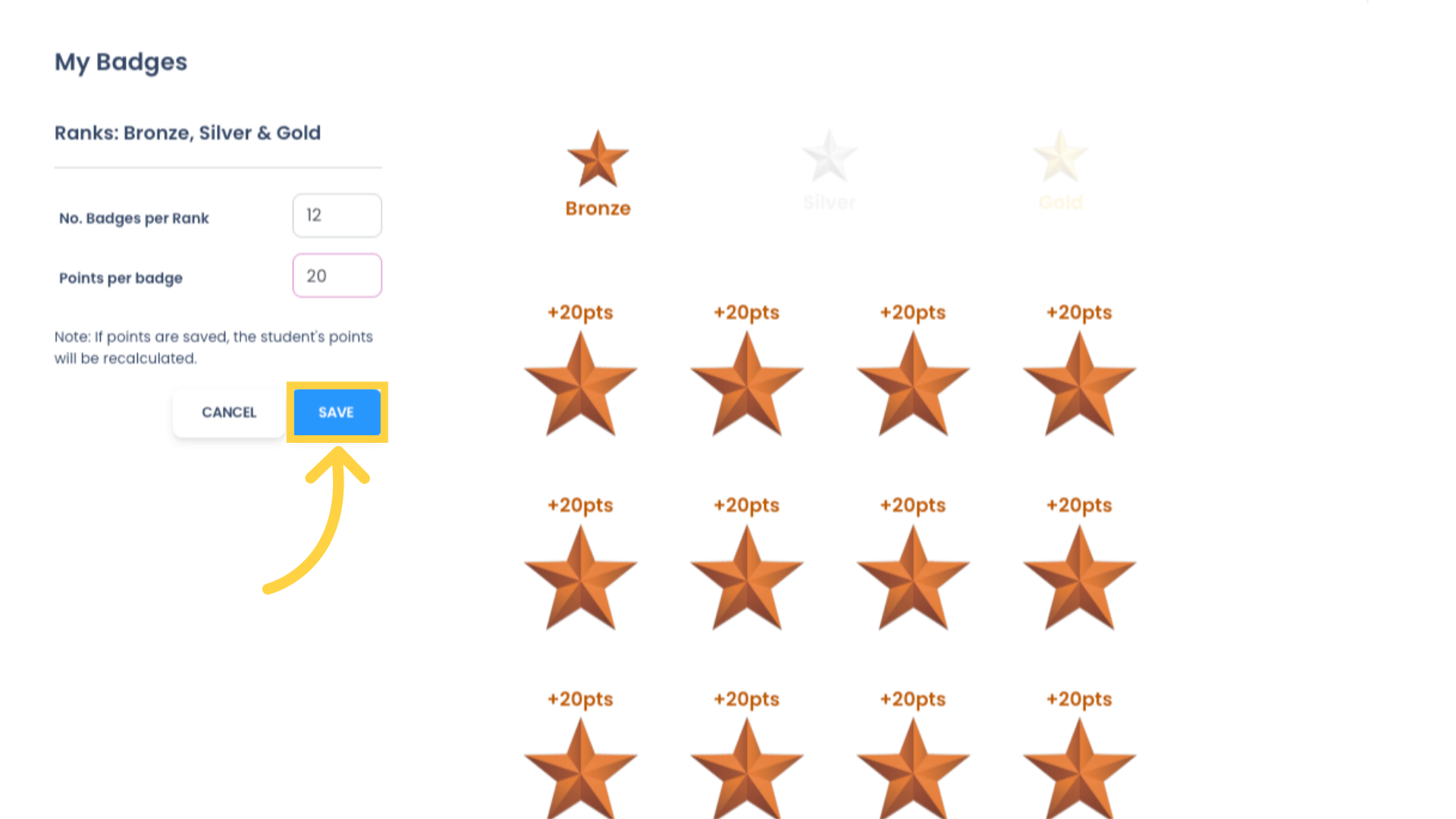 If you make any changes to these parameters, Students' earned achievements will be recalculated to reflect the new settings. Click 'SAVE' to save your changes.